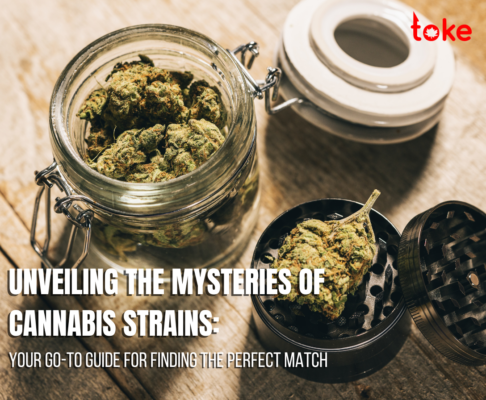 Unveiling the Mysteries of Cannabis Strains burnaby buds