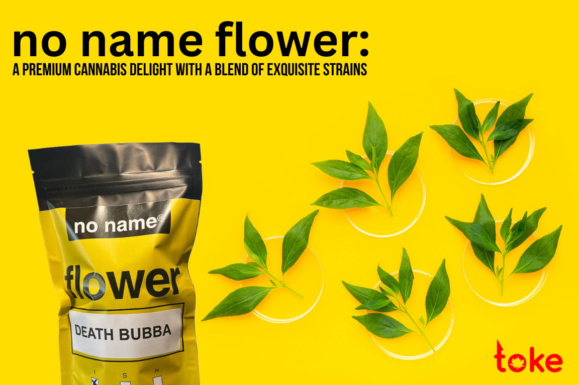Premium Cannabis Journey: Unveiling the No Name Flower