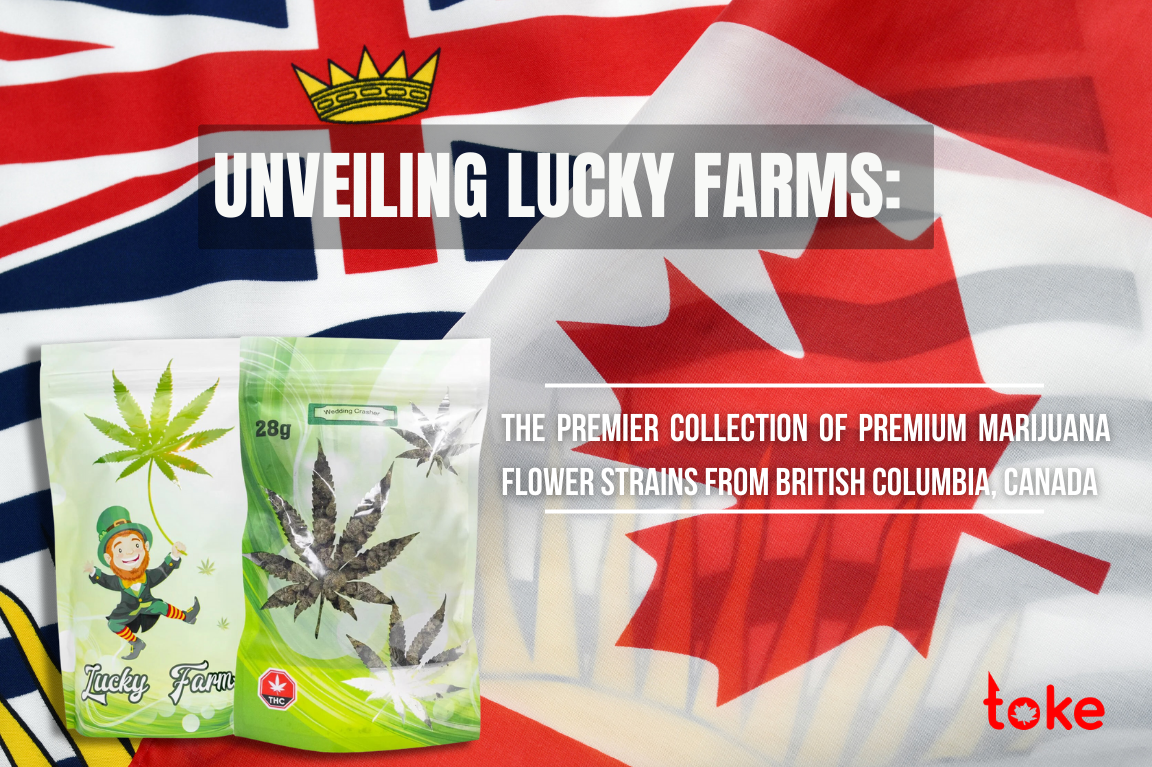 Lucky Farms Premium Marijuana Strains Burnaby Buds
